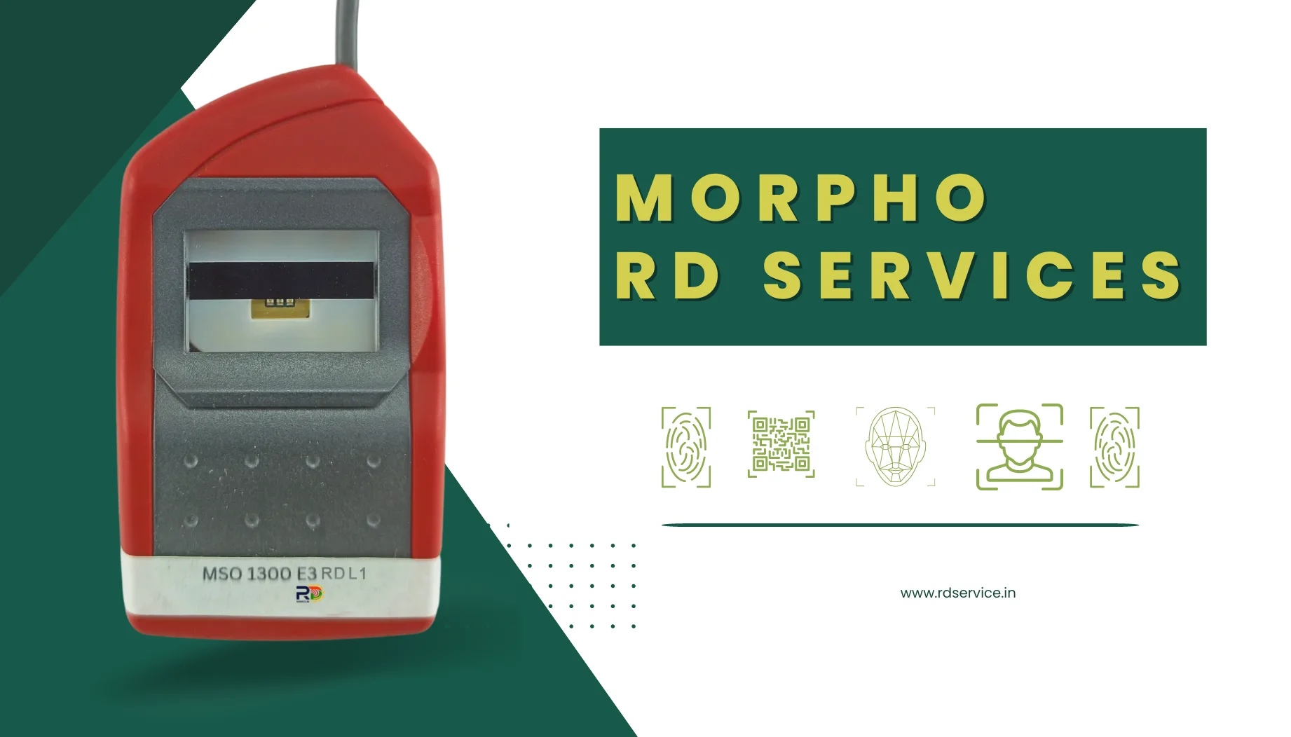 morphoL0-rd-services